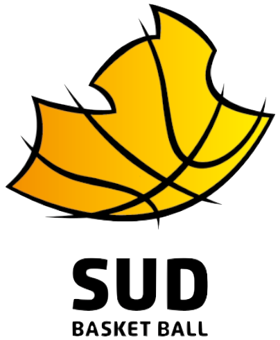 Ligue Sud Basketball